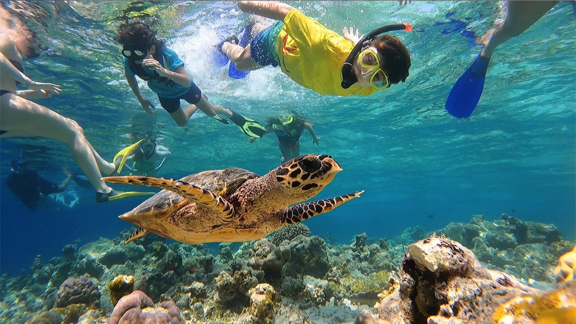 sandbank-snorkeling
